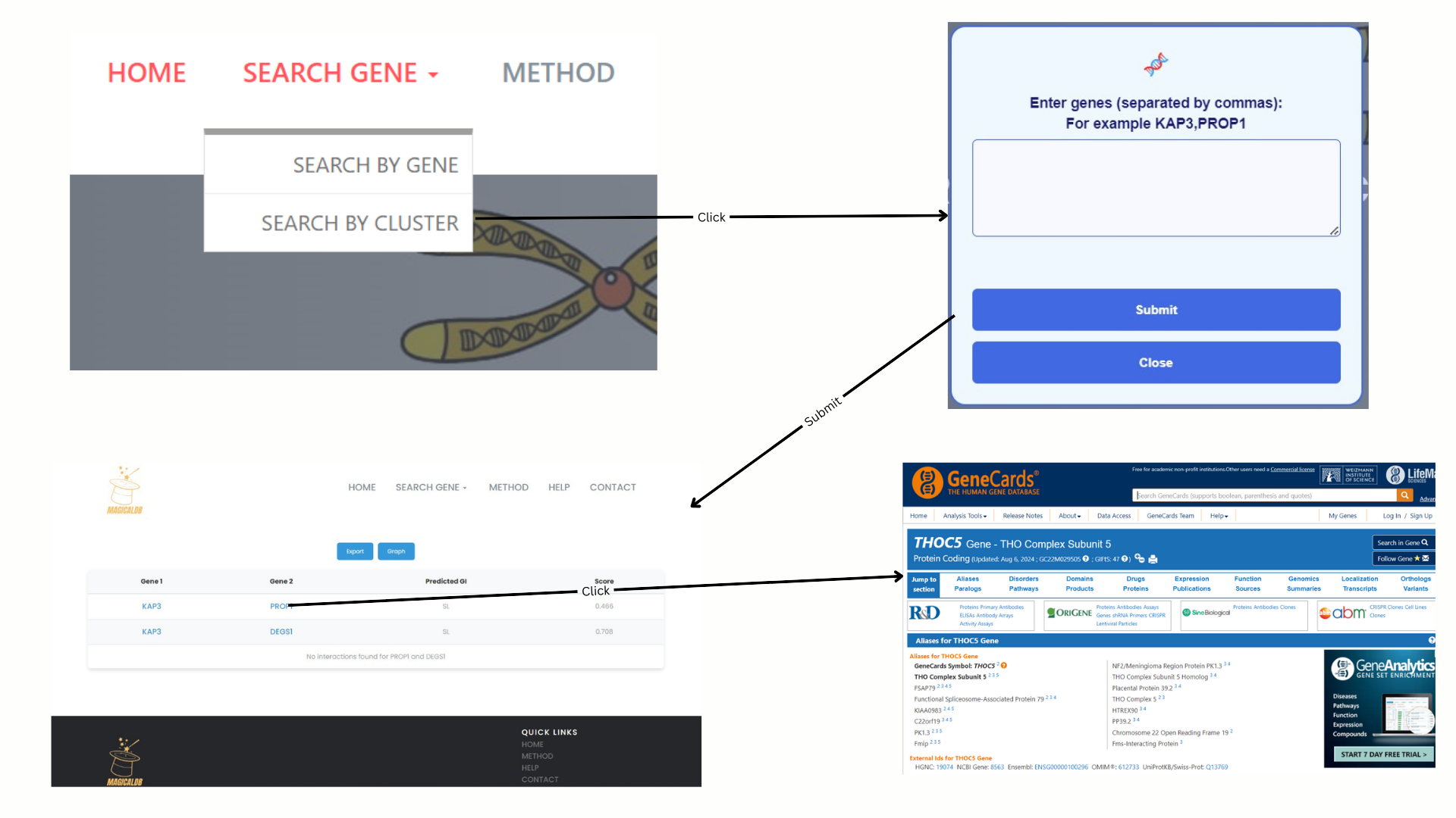 Search by Cluster feature screenshot