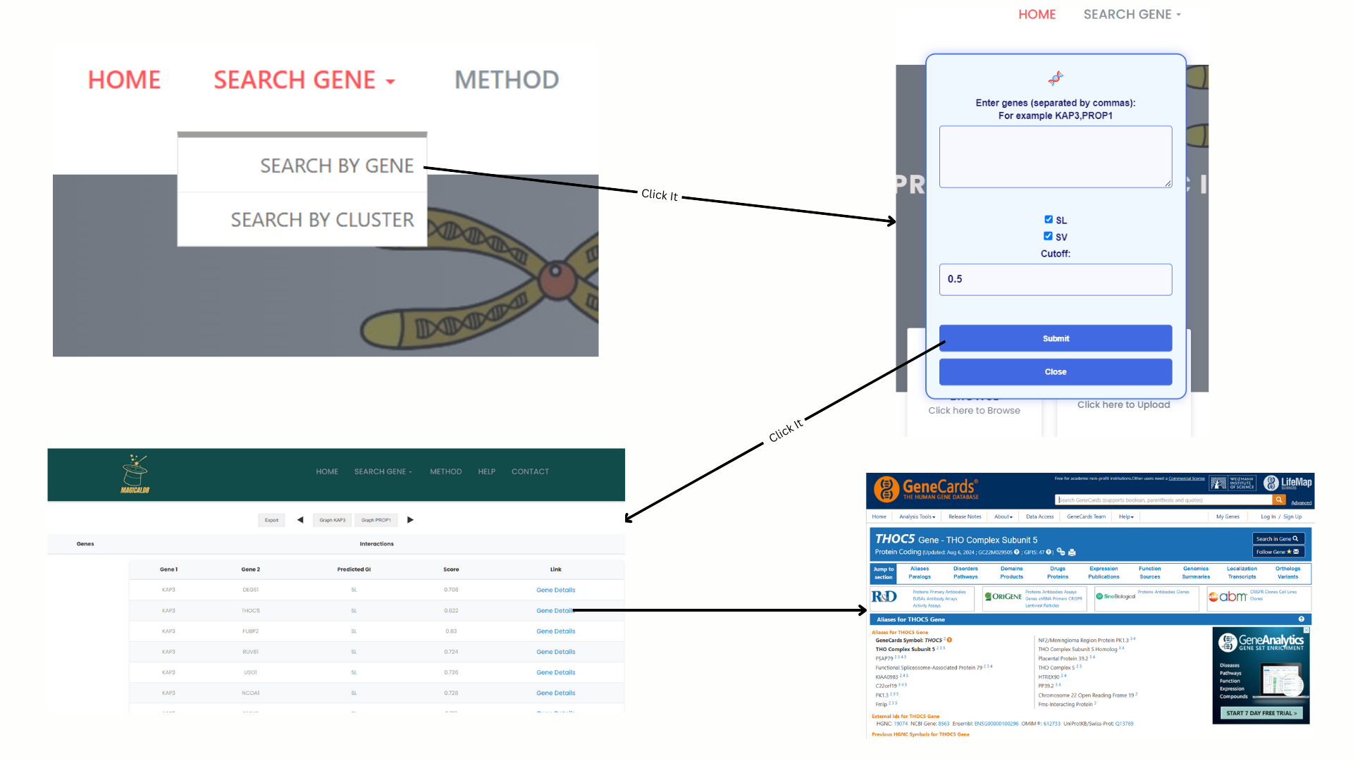 Search by Gene feature screenshot